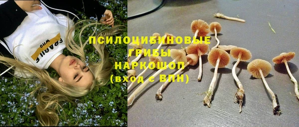 MDMA Premium VHQ Аркадак